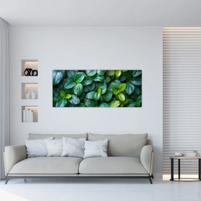 Obraz - Zelené rastliny (120x50 cm)
