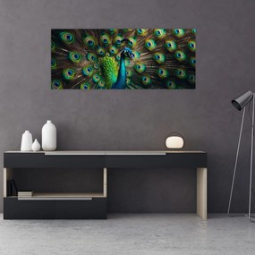 Obraz – Páv (120x50 cm)