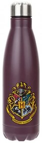 Oceľová fľaška s motívom Harry Potter 750 ml, Sivá