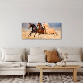 Obraz - Divé kone (120x50 cm)