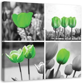 Gario Obraz na plátne Zelené tulipány Rozmery: 30 x 30 cm