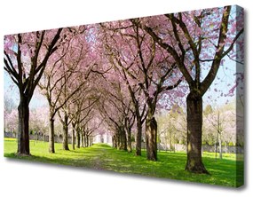 Obraz Canvas Chodník stromy príroda 125x50 cm