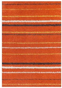 Koberec Shaggy Perfect 1,33/1,9 2062 AP2O