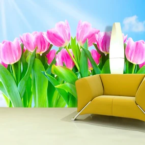 Sablio Tapeta Ružové tulipány - 336x220 cm