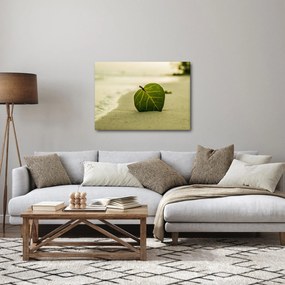 Obraz listu v piesku (70x50 cm)