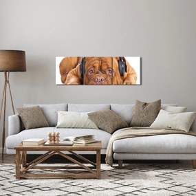 Obraz psa so slúchadlami (s hodinami) (90x30 cm)