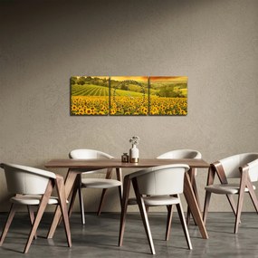 Obraz - Slnečnicové pole (s hodinami) (90x30 cm)
