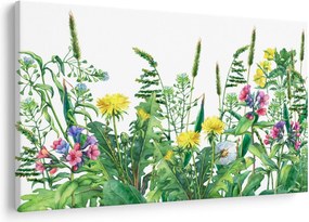 Obraz - Maľované lúčne kvety (90x60 cm)