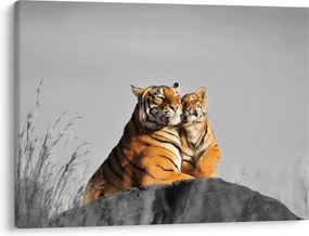 Obraz - Tigrice a jej mláďa, čiernobiely variant (70x50 cm)