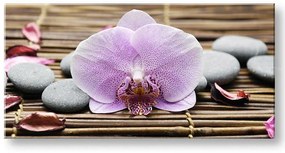Obraz na stenu PANORÁMA FENG SHUI | rôzne rozmery