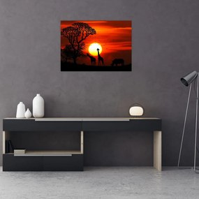 Sklenený obraz - Siluety zvierat pri západe slnka (70x50 cm)