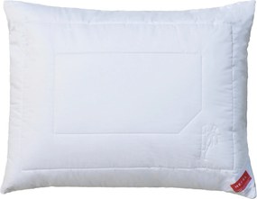 XXXLutz VANKÚŠ, 70/90 cm Hefel Textil - Prikrývky & vankúše - 004636002303