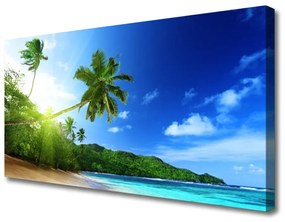 Obraz Canvas Pláž more palma krajina 100x50 cm