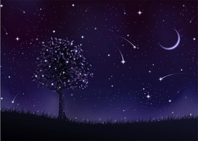Sklenený obraz - Noc zachytená ilustrácou (70x50 cm)