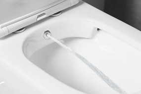 Sapho Sapho, PACO CLEANWASH WC kombi misa, integrovaná batéria a bidetová spŕška, spodný/zadný, biela, PC1012RX