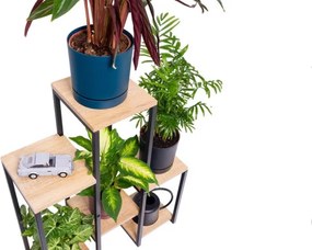 Stojan na kvety PANORAMA svetlý dub