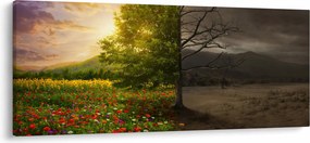 Obraz - Kolobeh života (120x50 cm)