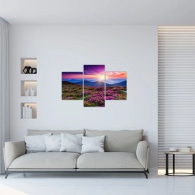Obraz - Horská rozkvitnutá krajina (90x60 cm)