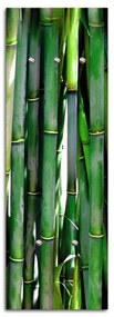 Gario Vešiak na stenu Bambus Rozmery: 40 x 118 cm