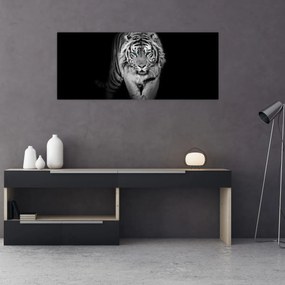 Obraz - Tiger s modrými očami (120x50 cm)