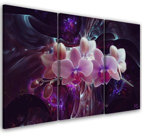 Obraz na plátně třídílný, Bílá orchidej na tmavém pozadí - 150x100 cm