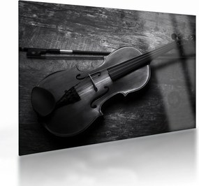 Sklenený obraz - Viola (70x50 cm)