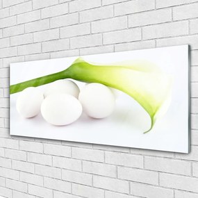 Obraz na akrylátovom skle Vajíčka 125x50 cm