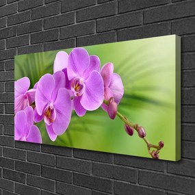 Obraz Canvas Vstavač orchidea kvety 120x60 cm