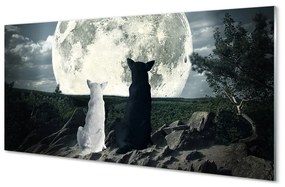 Sklenený obraz Wolves mesiac lesné 120x60 cm