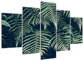 Obraz listov papradí (150x105 cm)