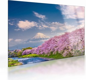 Sklenený obraz - Japonská jarná krajina (70x50 cm)
