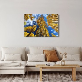 Obraz - Aspen (90x60 cm)