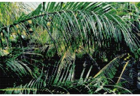 Gario Diamantové maľovanie Palmové listy Rozmery: 60 x 40 cm, Rámovanie: Iba zrolované plátno, Diamanty: Štvorcové