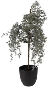 Vianočné dekorácie cédrový stromček v kvetináči Cedar M - 30*30*60 cm