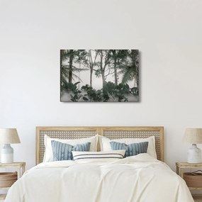 Obraz - Jungle v rannej hmle (90x60 cm)