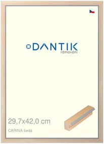 DANTIK rám na obraz 29,7x42 | CARINA šedá (Plexi Čiré)