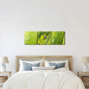 Obraz hada (s hodinami) (90x30 cm)