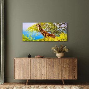 Obraz žirafy v Afrike (120x50 cm)