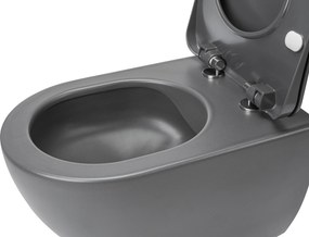 Deante Závesný WC komplet bez príruby Peonia - CDEDDZPW, vrátane SoftClose sedadla, titán