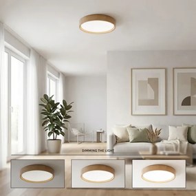 Brilagi - LED stmievateľné stropné svietidlo MANAROLA LED/24W/230V 3000-6500K pr. 41 cm+diaľkové ovládanie