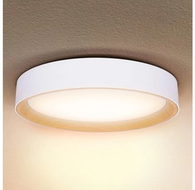 Brilagi -LED Stmievateľné svietidlo LARIOS LED/48W/230V 3000-6500K ø 39 cm biela+DO WO800-OEM17
