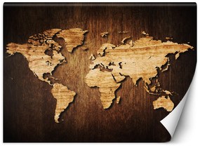 Gario Fototapeta Mapa sveta na dreve Materiál: Vliesová, Rozmery: 450 x 315 cm