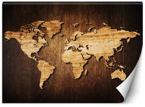 Gario Fototapeta Mapa sveta na dreve Materiál: Vliesová, Rozmery: 350 x 245 cm
