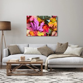 Obraz - jesenné listy (90x60 cm)