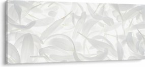 Obraz - Okvetné lístky (120x50 cm)