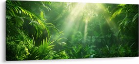 Obraz - Dažďový prales (120x50 cm)