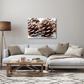 Obraz - Šišky (70x50 cm)