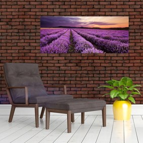 Obraz - Levanduľové pole pri západe slnka (120x50 cm)