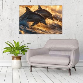 Obraz - Delfíny (90x60 cm)