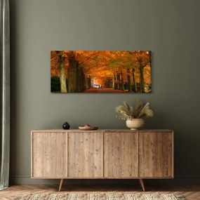 Obraz - Jeseň Alej stromov (120x50 cm)
